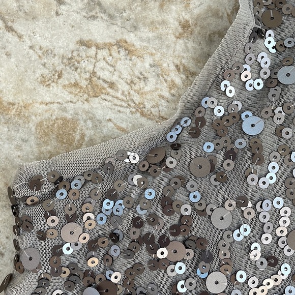 Max Studio Neutral Sequin Dress - Picture 6 of 10